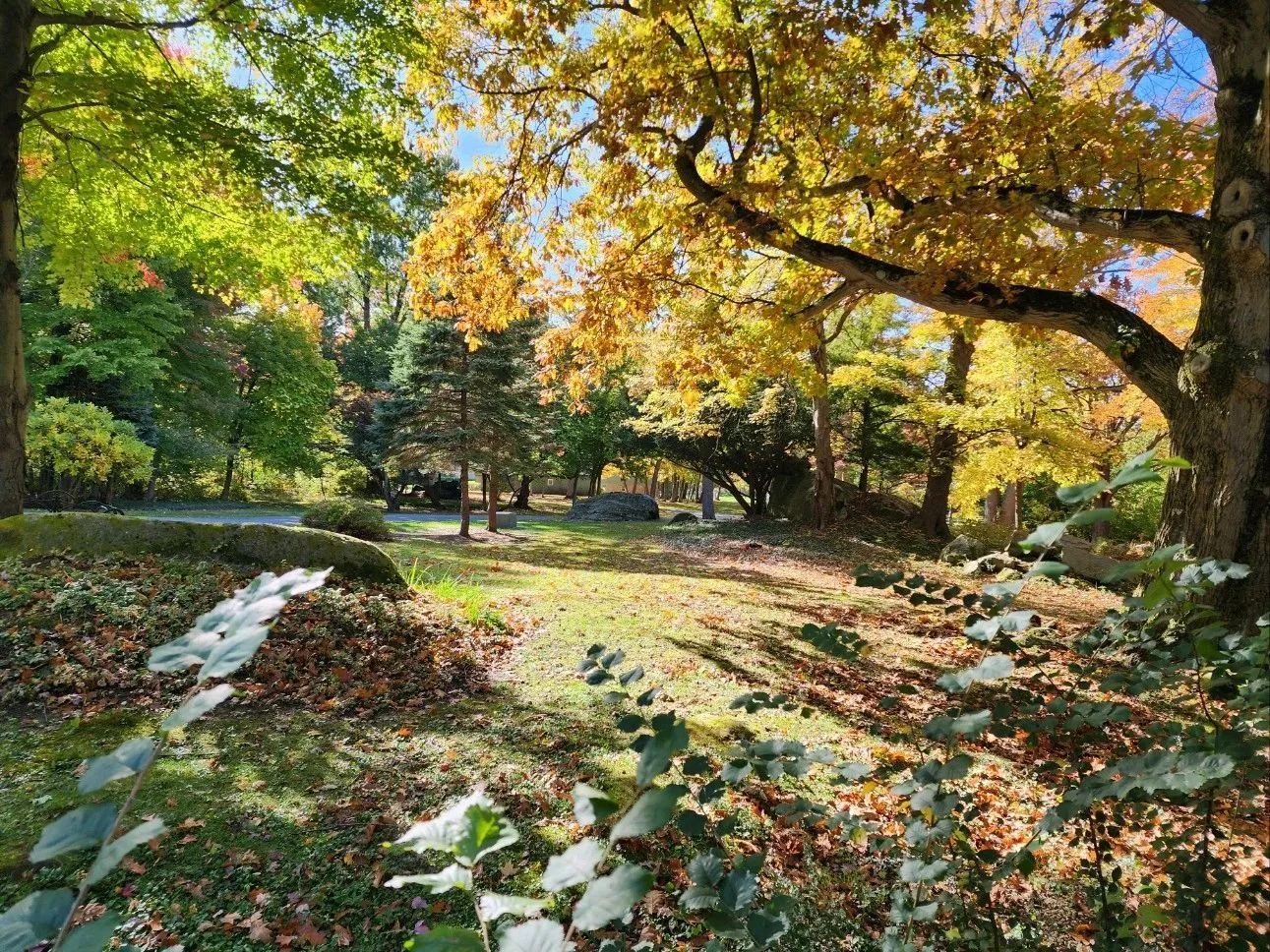 An autumnal pastoral scene at the sanctuary.