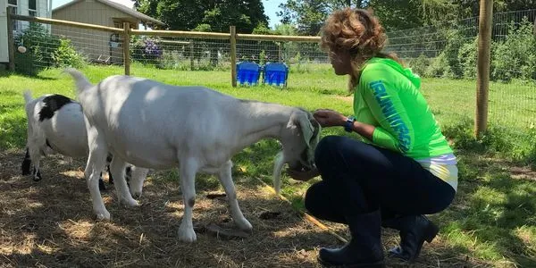 Sharon Marie in a green shirt, petting a white goat in an outdoor pen with another goat nearby.