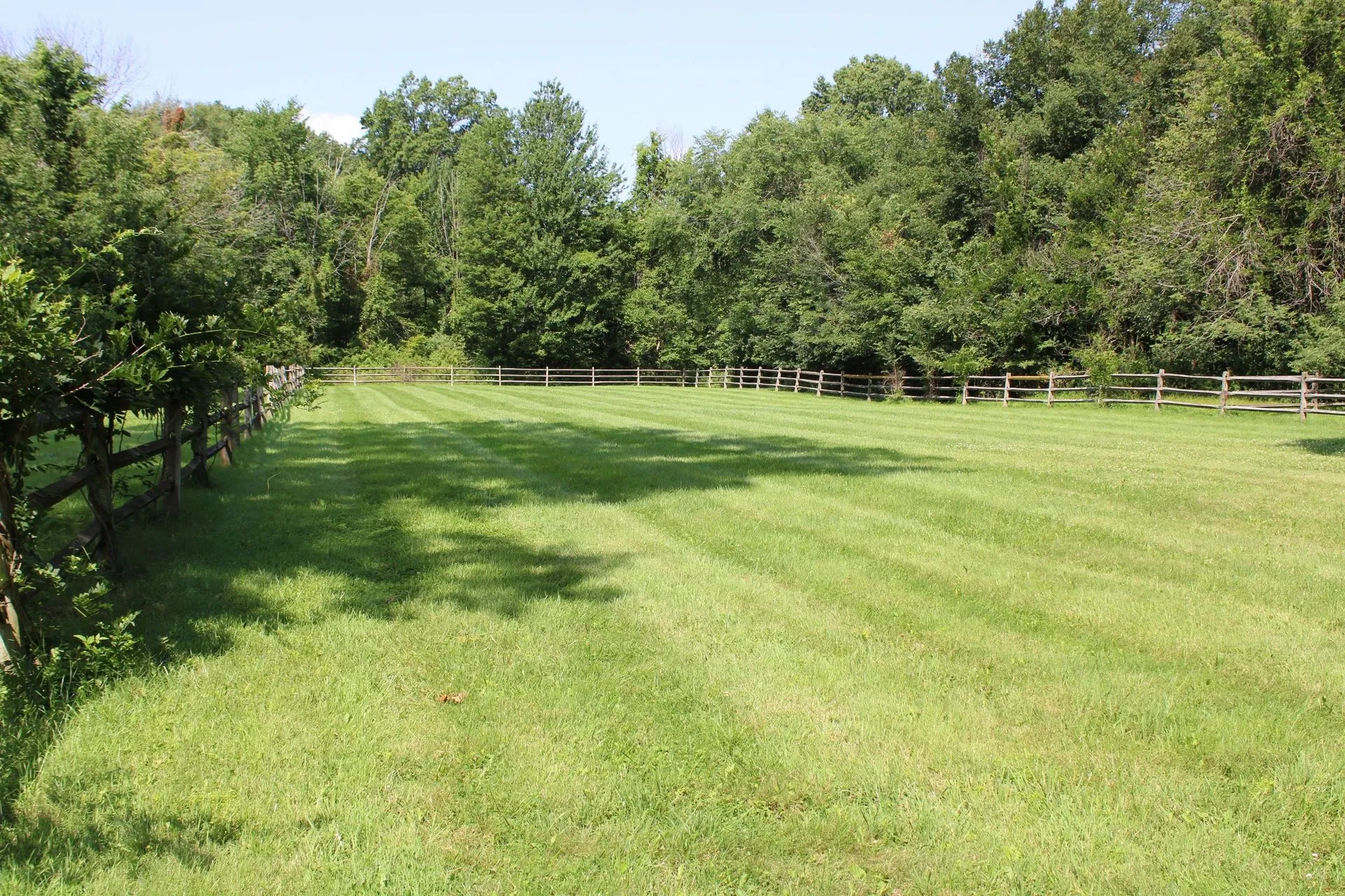 Photo 4 of life at Little Mountain Animal Sanctuary.