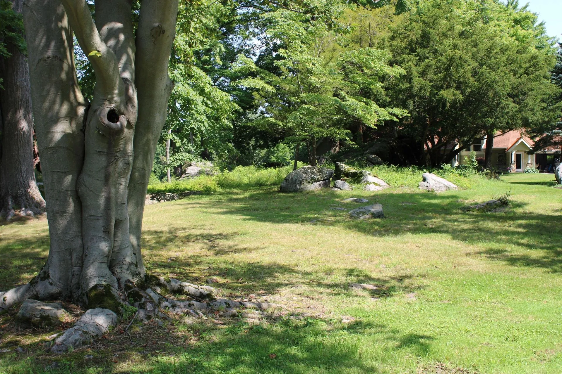 Photo 9 of life at Little Mountain Animal Sanctuary.